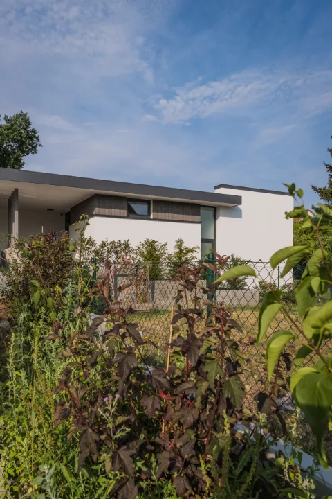 EFH P1, Effeltrich – Bild 8